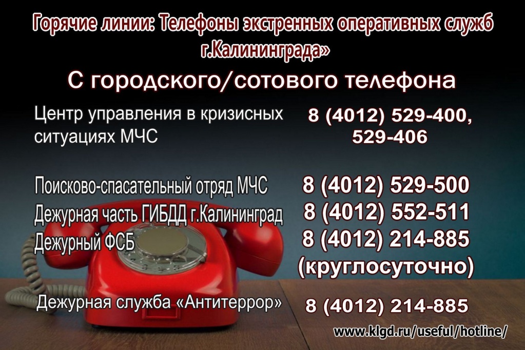 антитерор.jpg